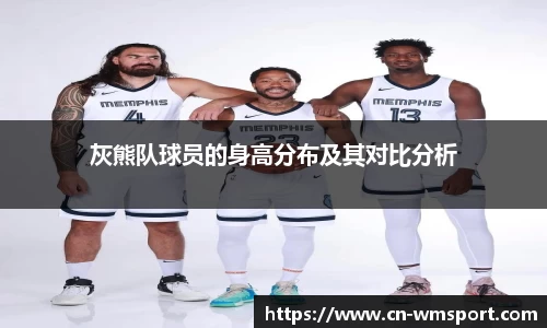 灰熊队球员的身高分布及其对比分析