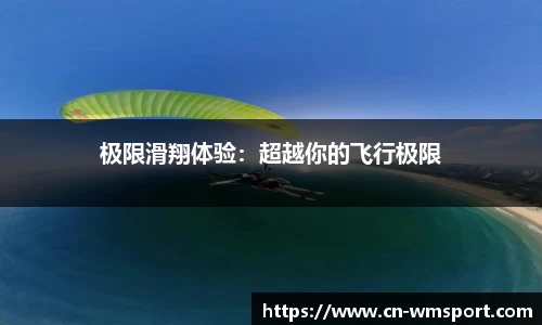 完美体育官网