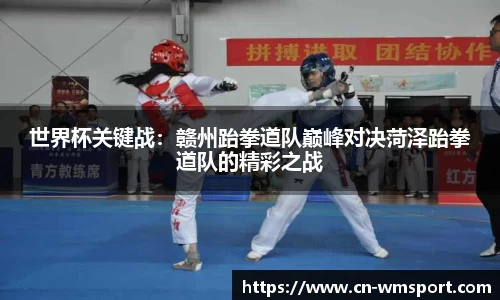 世界杯关键战：赣州跆拳道队巅峰对决菏泽跆拳道队的精彩之战